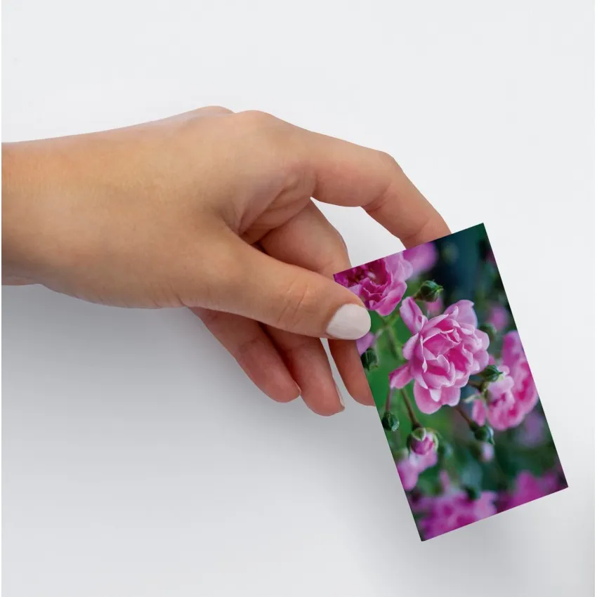 Lot de 50 versets - D'encouragement