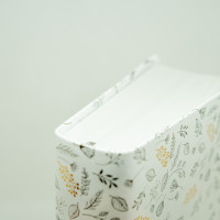 Bible SG21 Journal de bord souple Vivella blanc motifs dorés