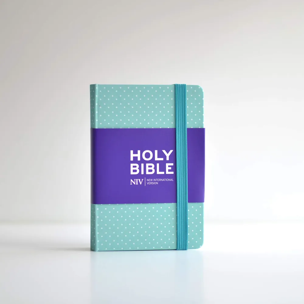 NIV Bible notebook mint