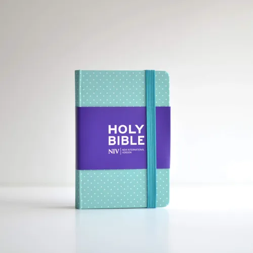 NIV Bible notebook mint