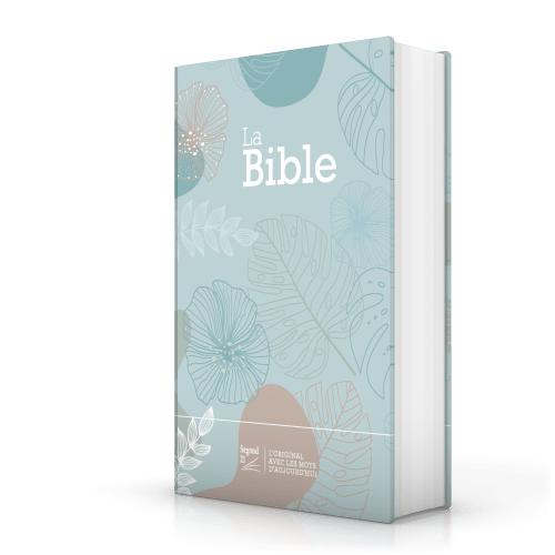 Bible SG21 rigide toilée vert eau