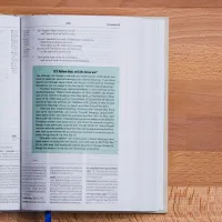 ESV - The Reformation Study Bible red brick leather