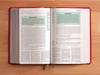 ESV - The Reformation Study Bible red brick leather