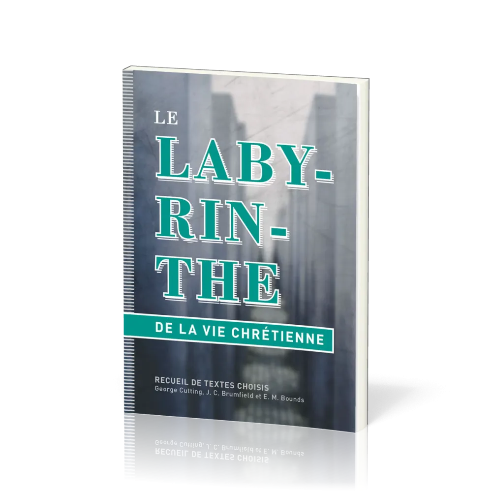 Labyrinthe de la vie chrétienne, Le