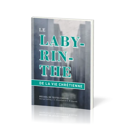 Labyrinthe de la vie chrétienne, Le