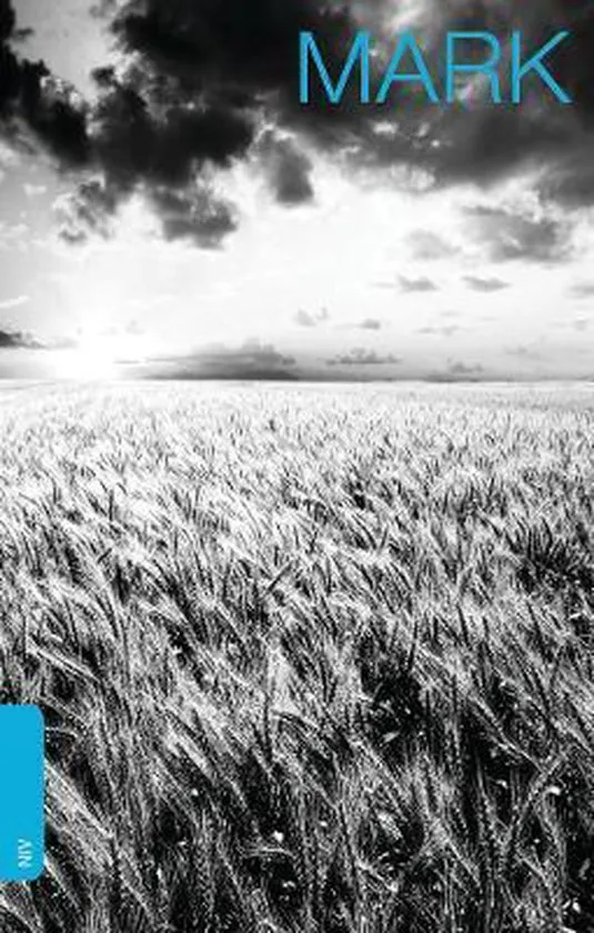 NIV Mark