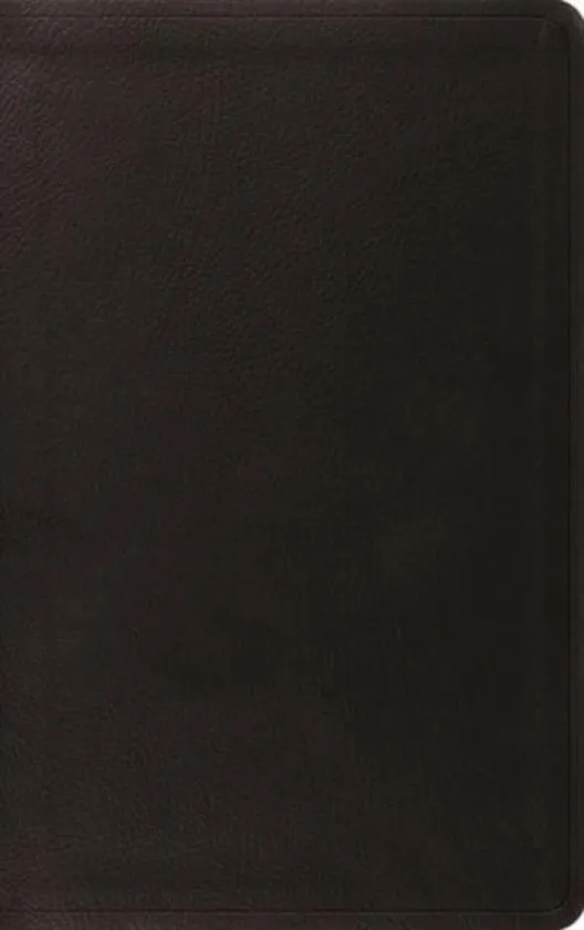 ESV value thinline Bible - trutone Black