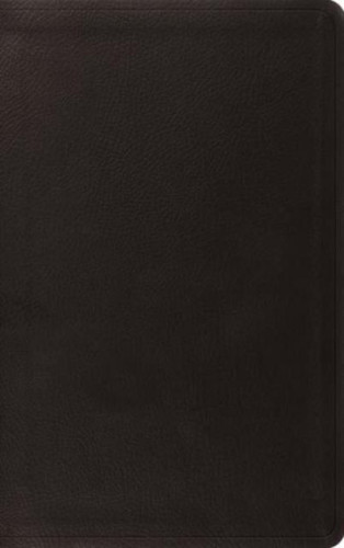 ESV value thinline Bible - trutone Black