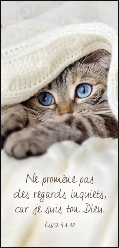 Marque-page magnet - Esaïe 41:10