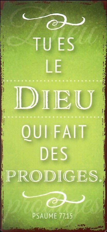 Marque-page magnet - Psaume 77.15