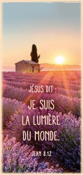 Marque-page magnet - Jean 8:12