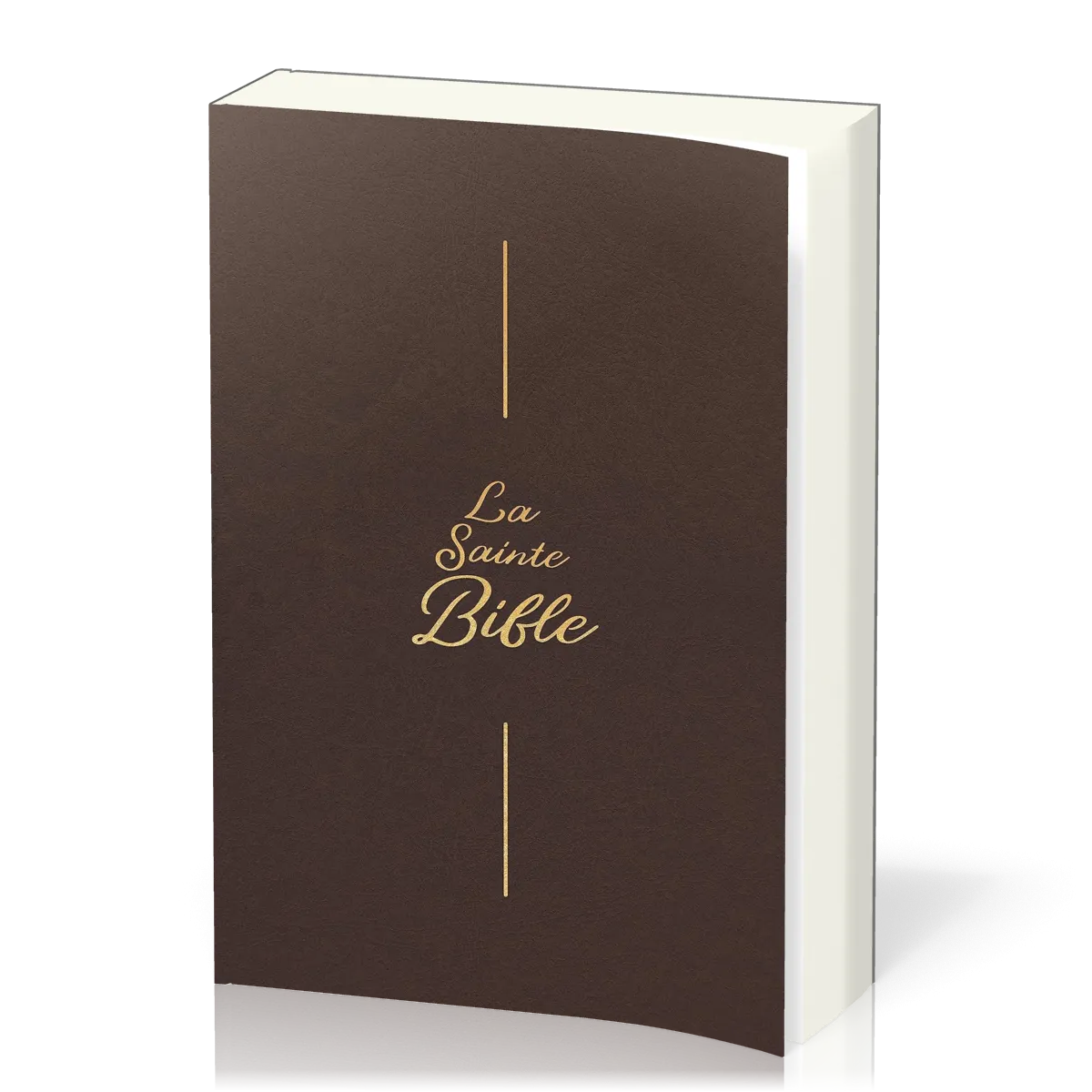 Bible Segond 1910 famille souple brun