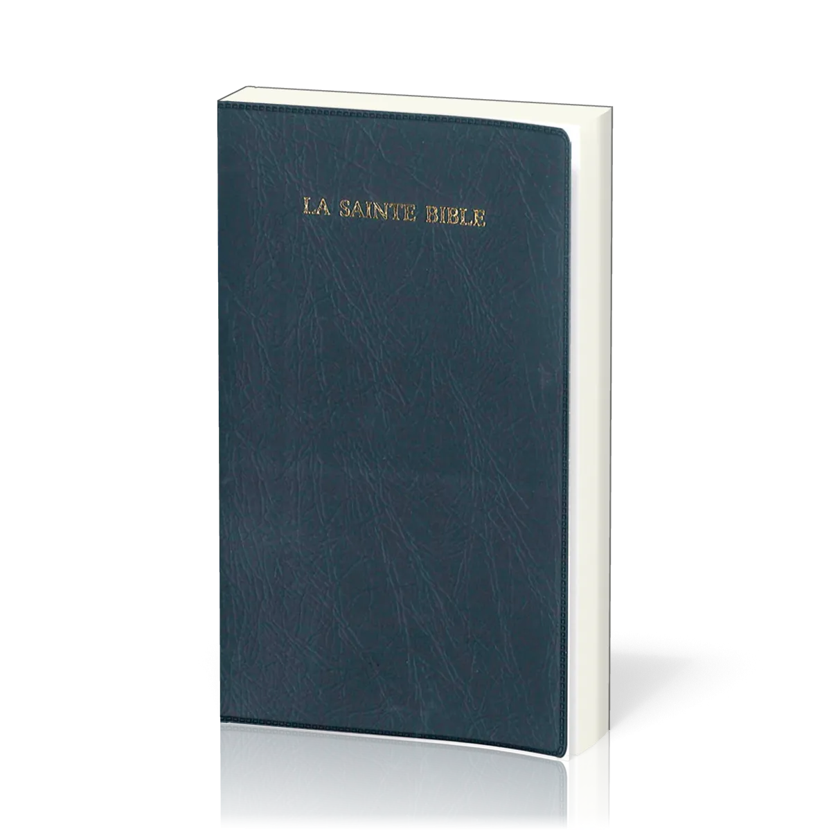 Bible Segond 1910 souple marine onglets