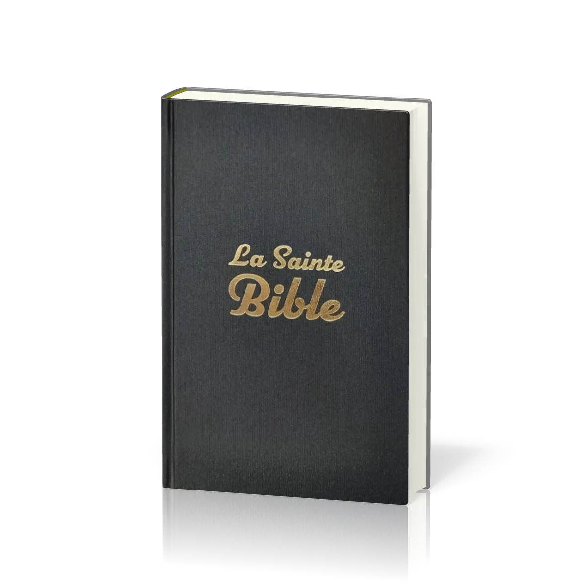 Bible Segond 1910 rigide gris