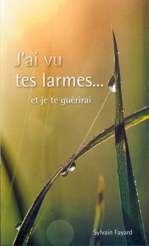 J'ai vu tes larmes