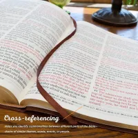 KJV The Holy Bible super giant print gray
