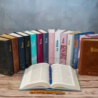 Bible SG21 souple cuir anthracite or