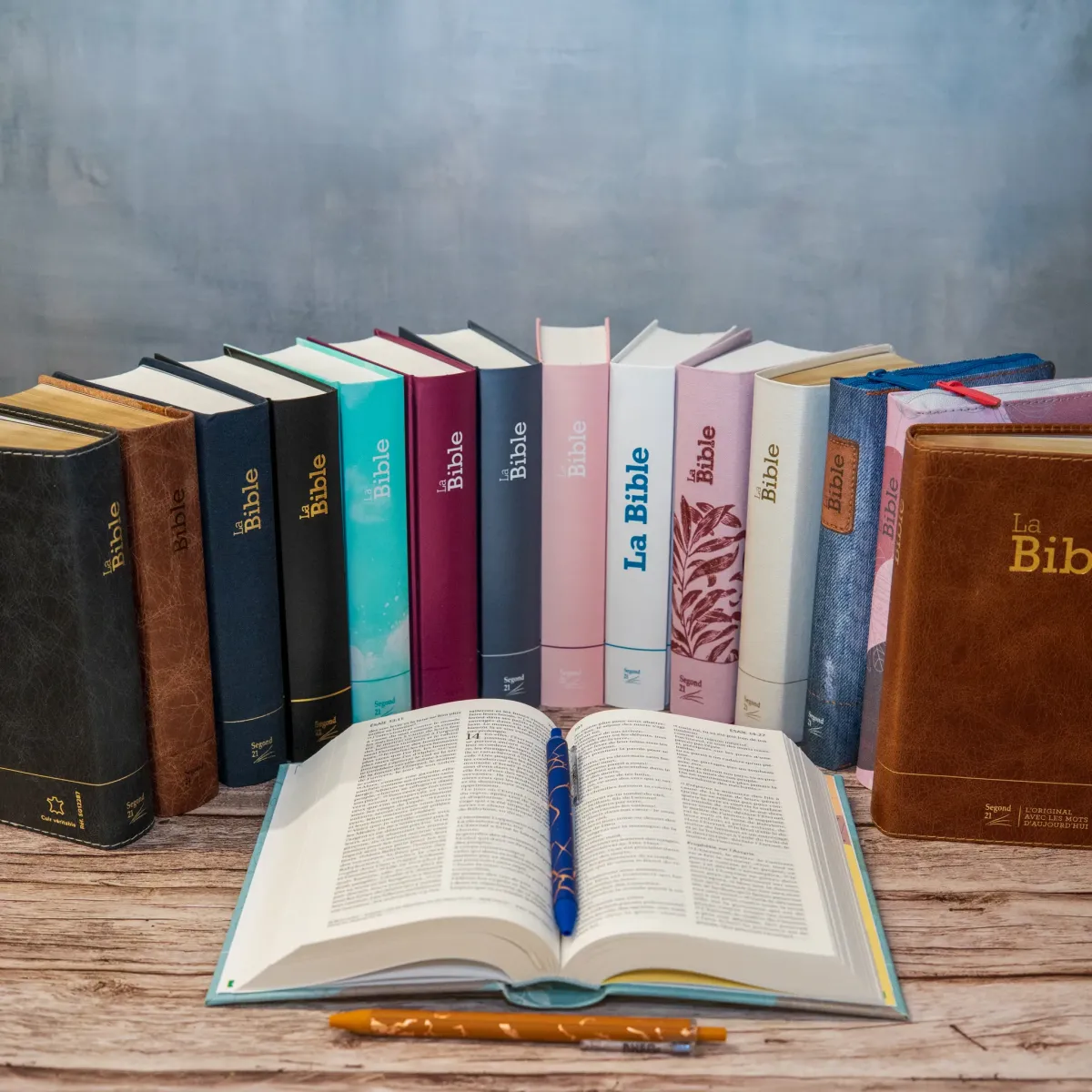 Bible SG21 rigide prune