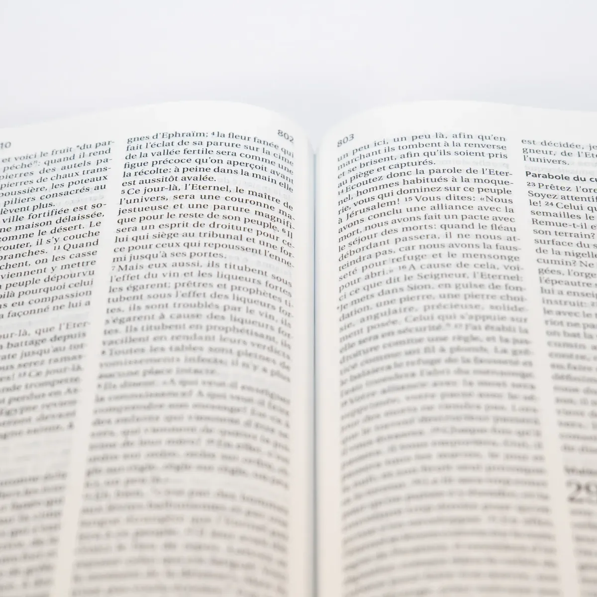 Bible SG21 souple cuir anthracite or