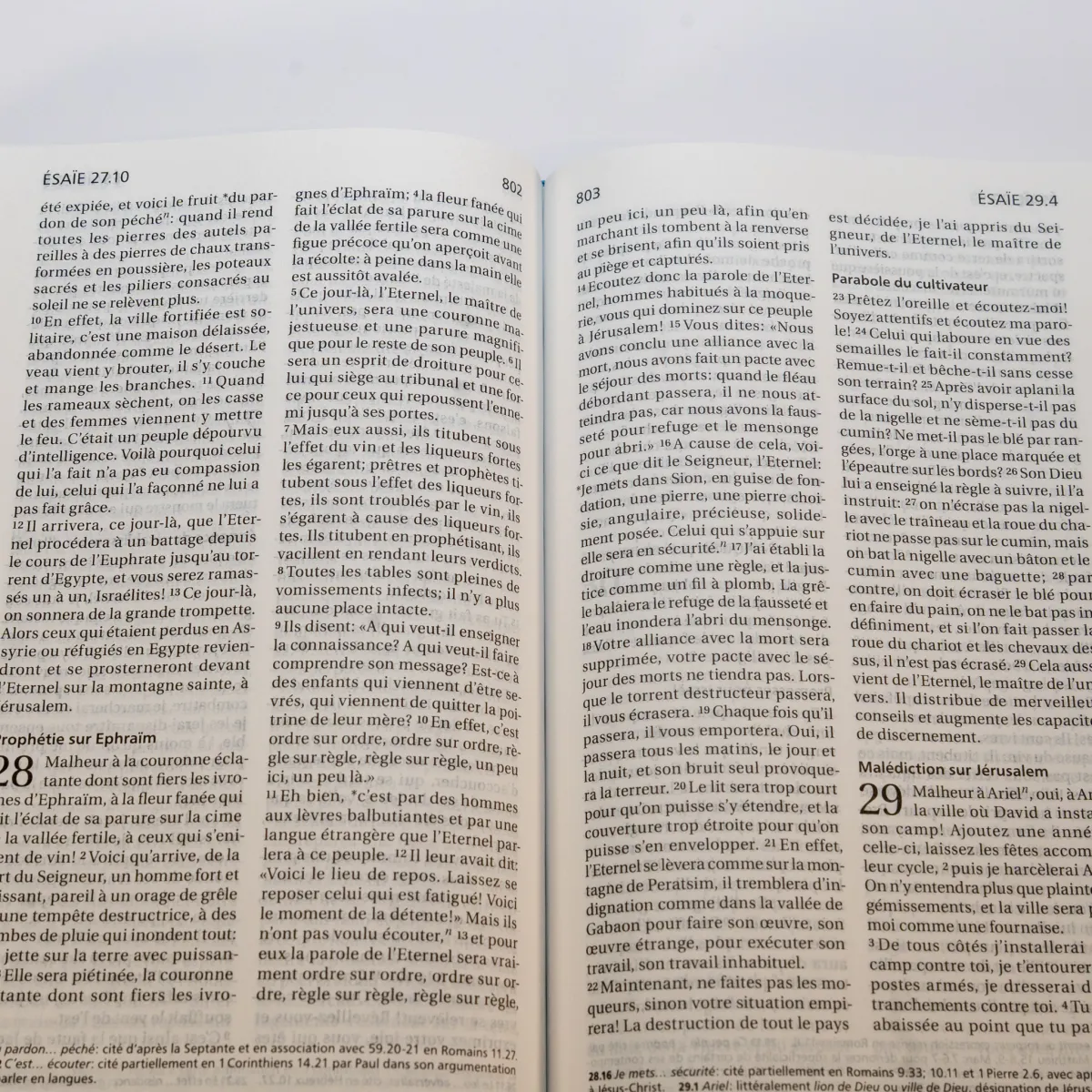 Bible SG21 souple Jeans toilée zip