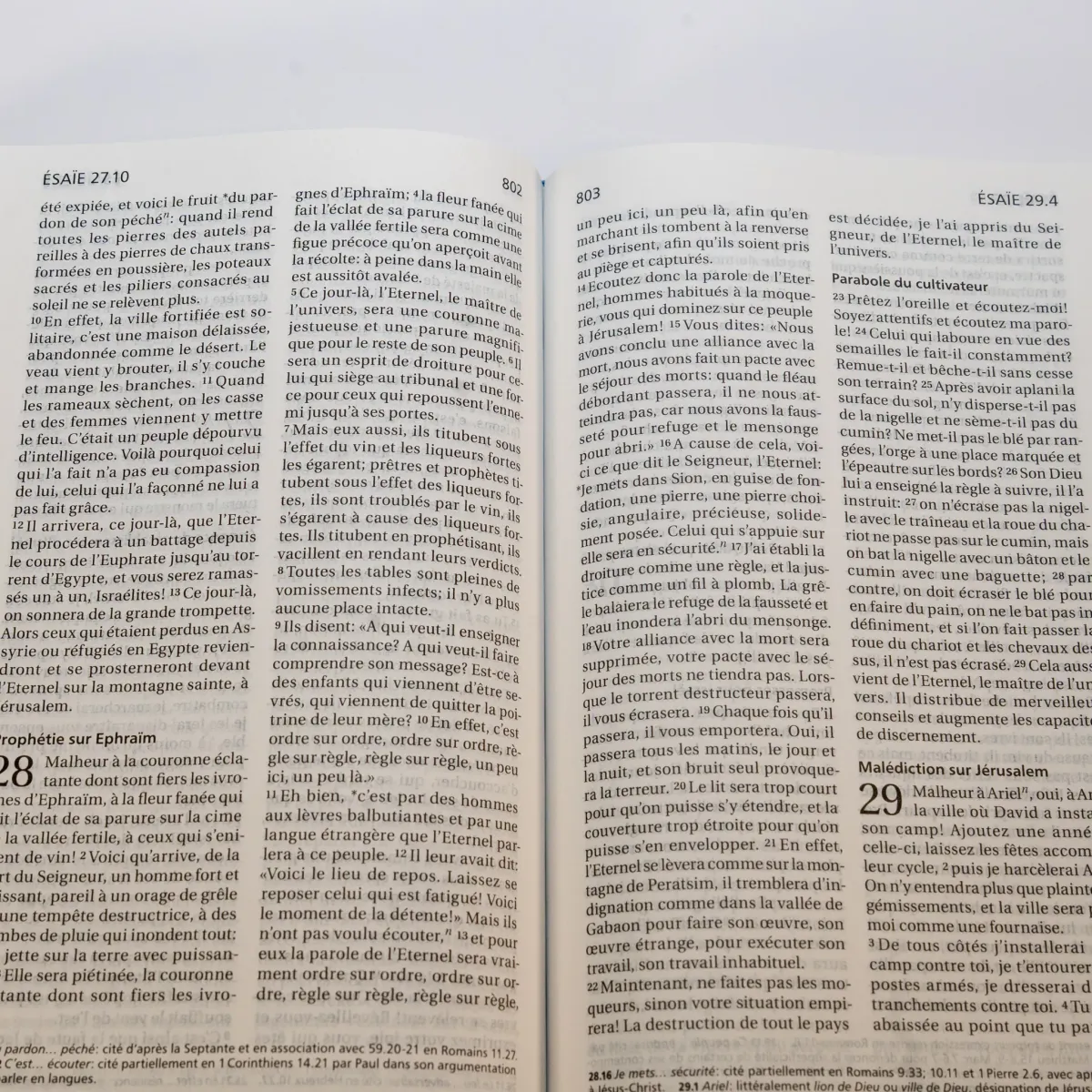 Bible SG21 rigide cuir duo praliné-chocolat or onglets