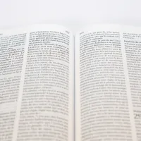 Bible SG21 rigide textile bleu fleurs