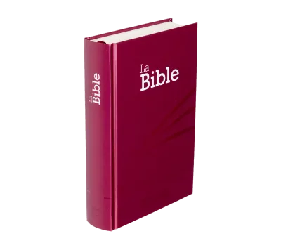 Bible SG21 rigide prune