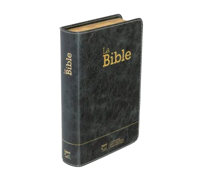 Bible SG21 souple cuir anthracite or