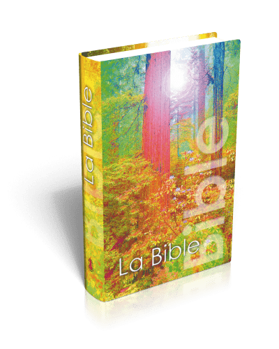 Bible NEG rigide forêt mini