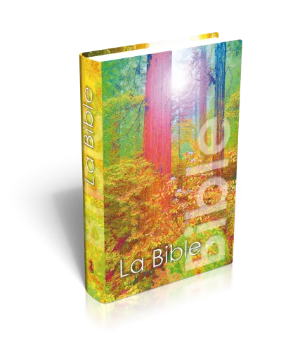 Bible NEG rigide forêt mini