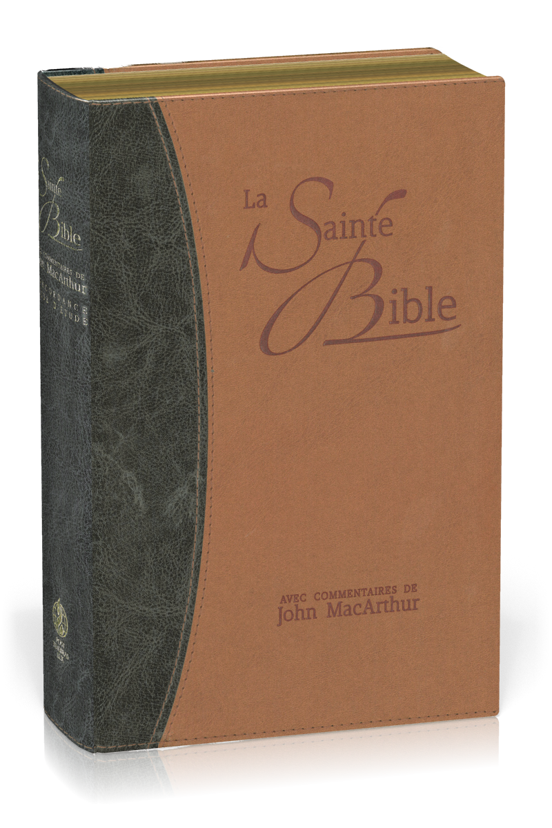 Bible NEG MacArthur souple Duo bleu/marron or
