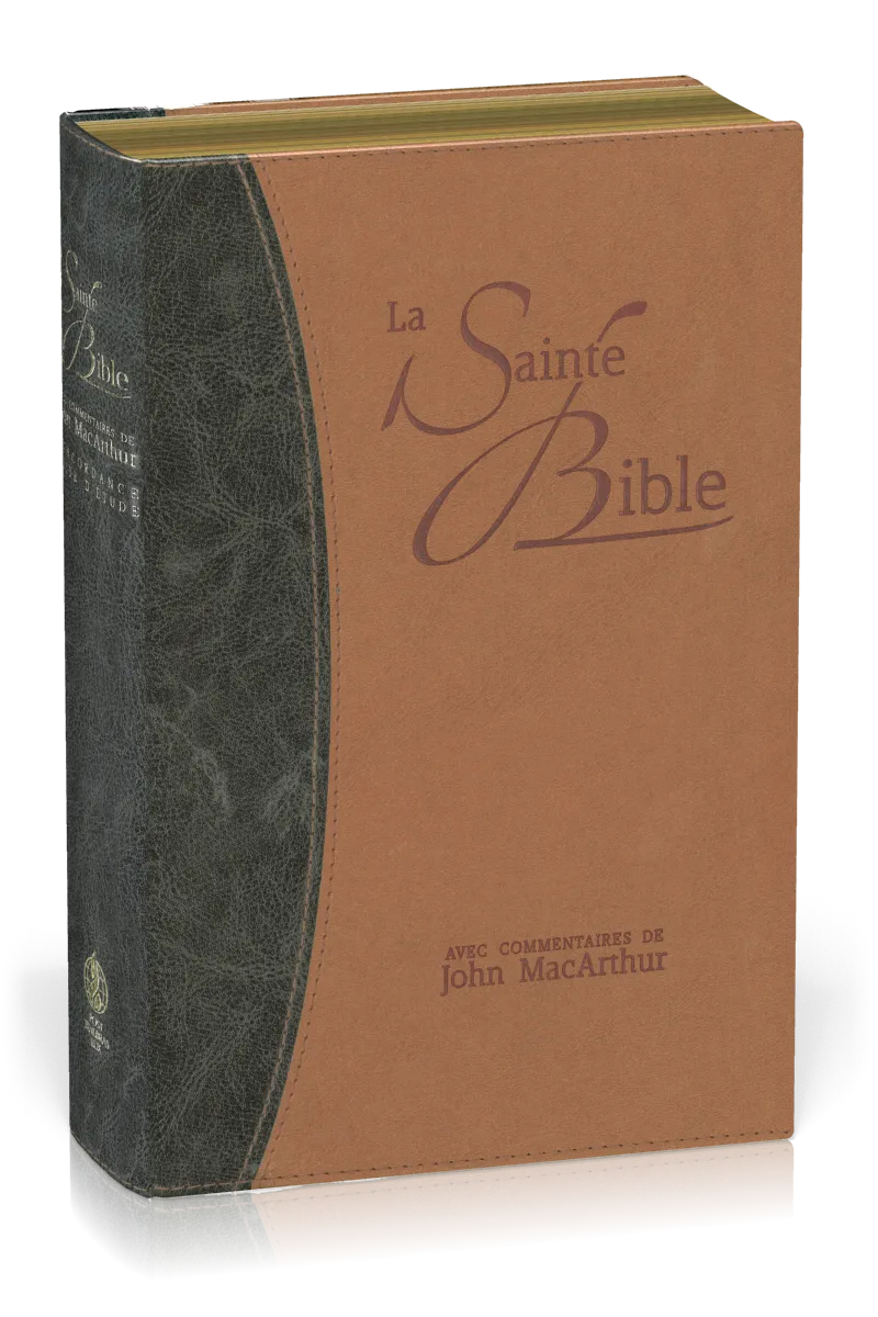 Bible NEG MacArthur souple Duo bleu/marron or