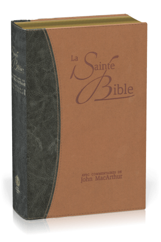 Bible NEG MacArthur souple Duo bleu/marron or