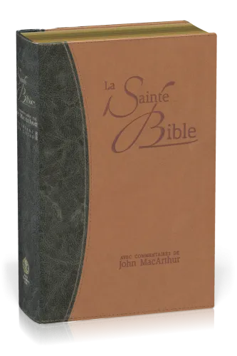 Bible NEG MacArthur souple Duo bleu/marron or