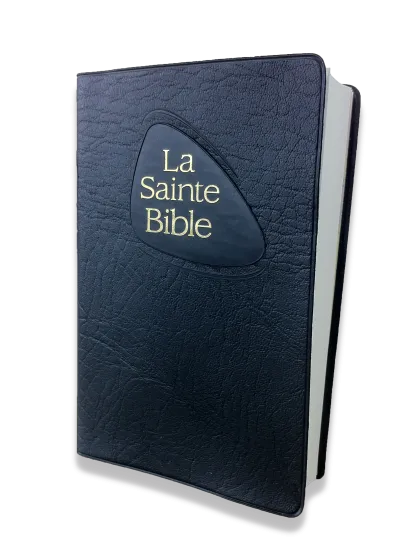 Bible NEG mini souple noir