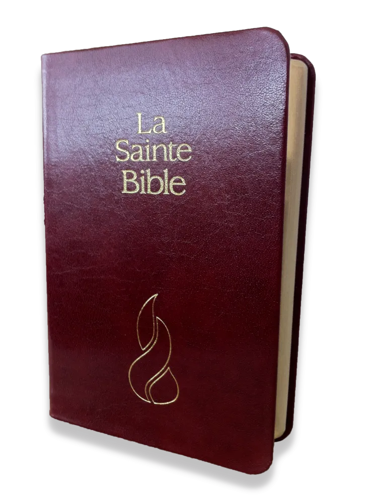 Bible NEG mini souple grenat or
