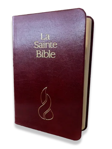 Bible NEG mini souple grenat or