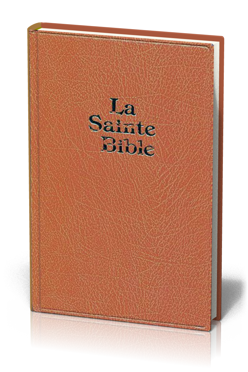 Bible Darby gros caractères rigide brun