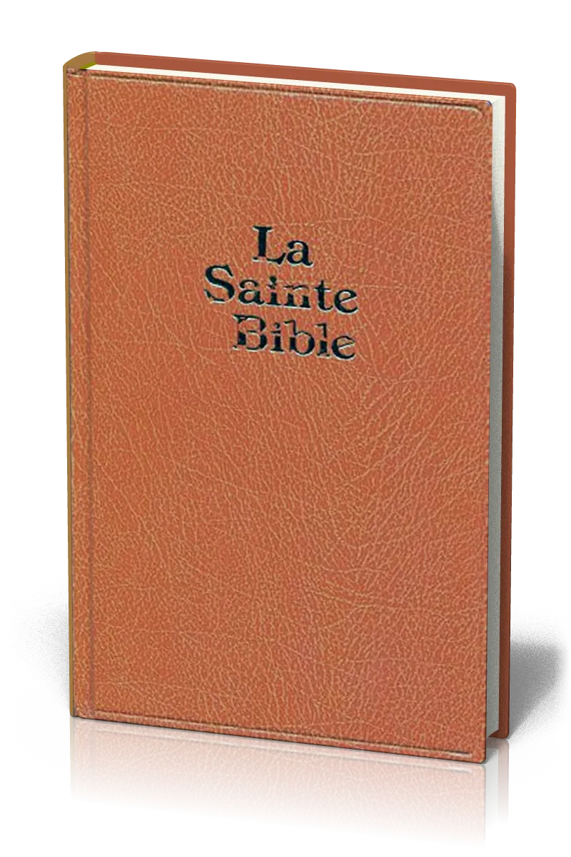 Bible Darby gros caractères rigide brun