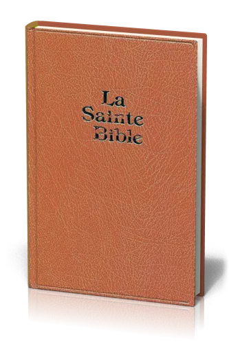 Bible Darby gros caractères rigide brun