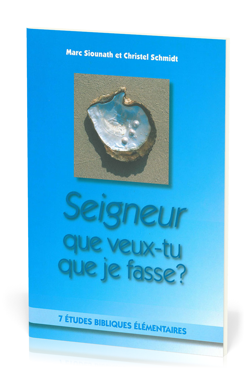 Seigneur que veux-tu que je fasse ?