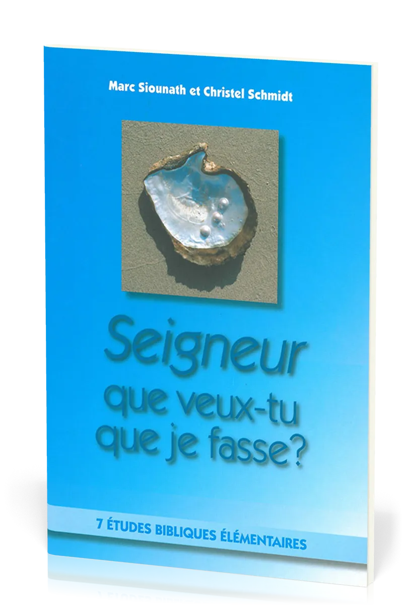 Seigneur que veux-tu que je fasse ?