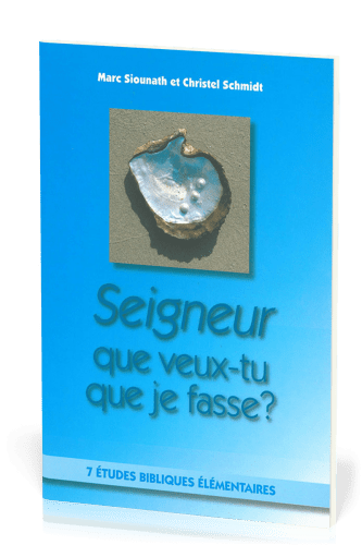 Seigneur que veux-tu que je fasse ?