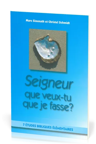 Seigneur que veux-tu que je fasse ?