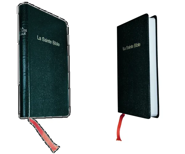 Bible Darby souple bleu/grenat