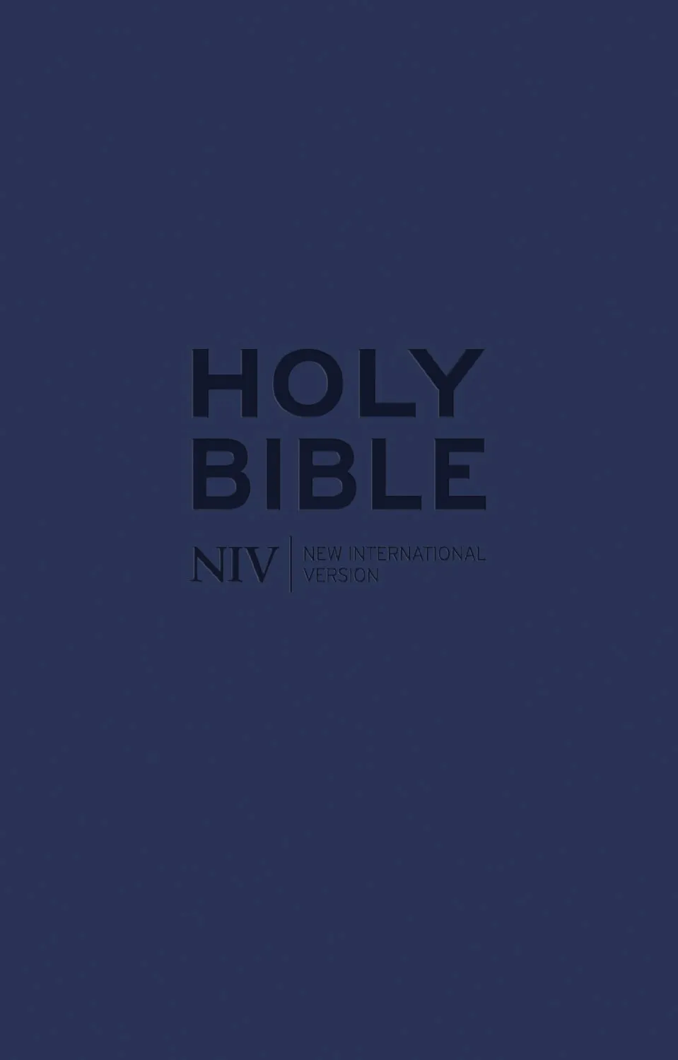 NIV pocket Bible blue zip
