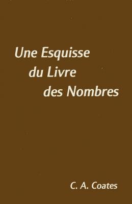 Une esquisse des nombres