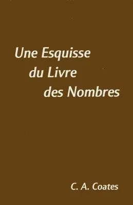 Une esquisse des nombres