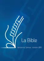 Bible Semeur rigide bleu illustrée
