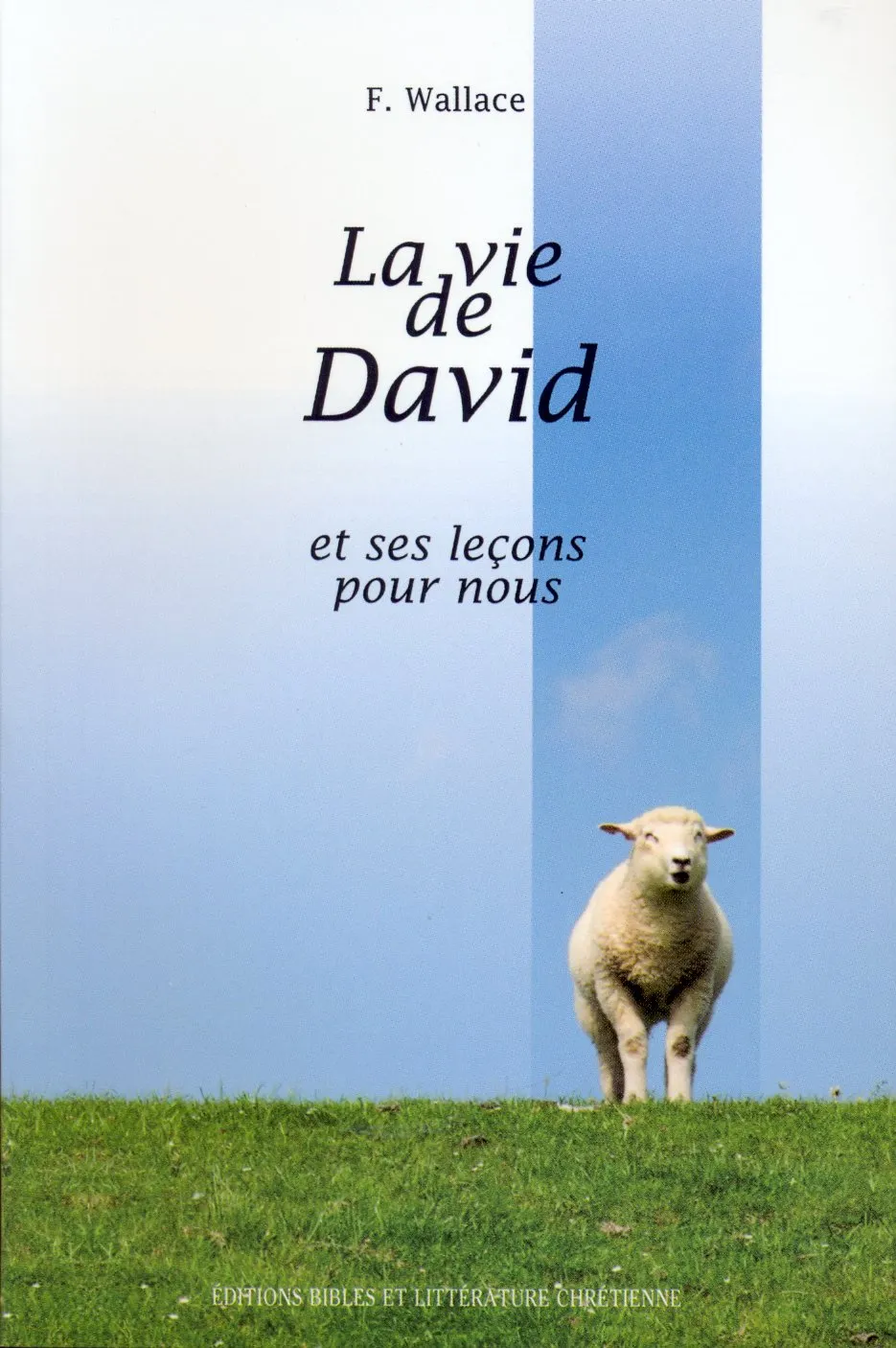 Vie de David et ses leçons pour nous, La